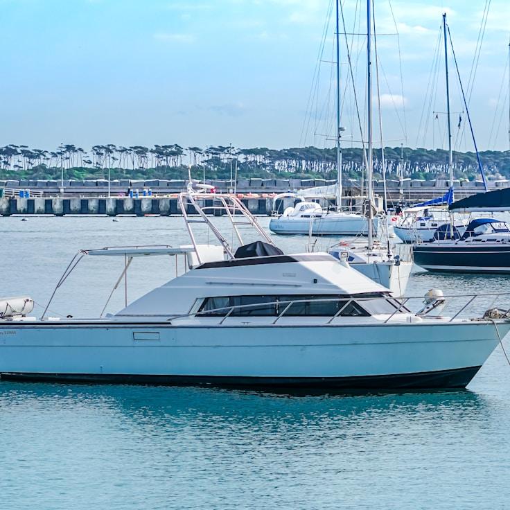 Aquatic entertainment